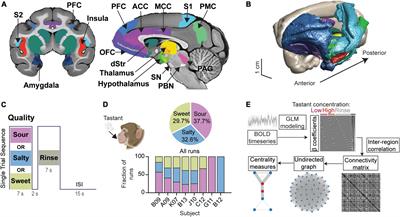 Interconnected sub-networks of the macaque monkey gustatory connectome